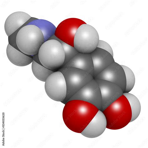 Adrenaline (epinephrine) hormone and neurotransmitter, molecular model ...