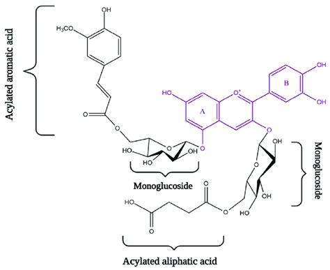 General chemical structure of anthocyanidin (flavylium cation) with ...