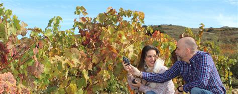 HOW TO PLAN THE BEST RIOJA WINE TOURS | Sensum Rioja Tours