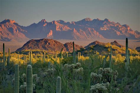 Nomad's Notes from somewhere on the road: Sonoran Desert Hideaway for ...