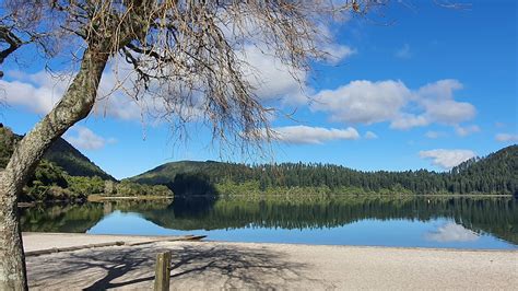 Blue Lake | Lake Tikitapu | Rotorua NZ