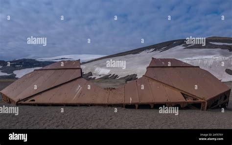 Ruined remains of a historical whaling station destroyed by a volcano ...