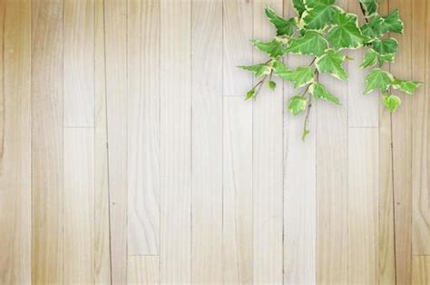 Free Photos | Wood grain background