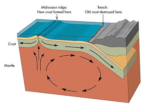 Gallery Plate Tectonics Diagram