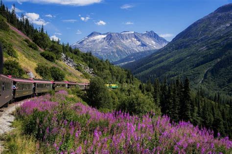 9 Most Scenic Train Rides in Canada (2023 Guide) – Trips To Discover