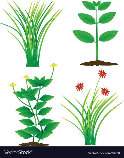 Grass and plants Royalty Free Vector Image - VectorStock