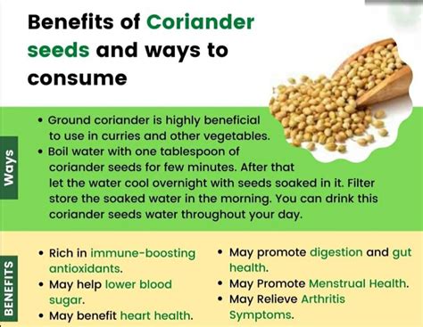 Coriander seed 4oz - Let's Go Natural Trinidad & Tobago