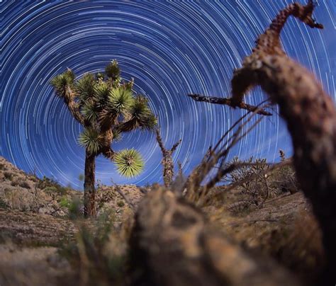 Stunning Timelapse of Joshua Tree Night Sky | Moss and Fog