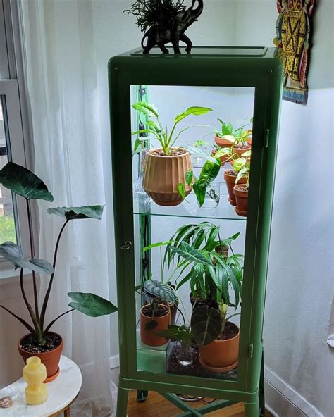 20 DIY Indoor Greenhouse Ideas