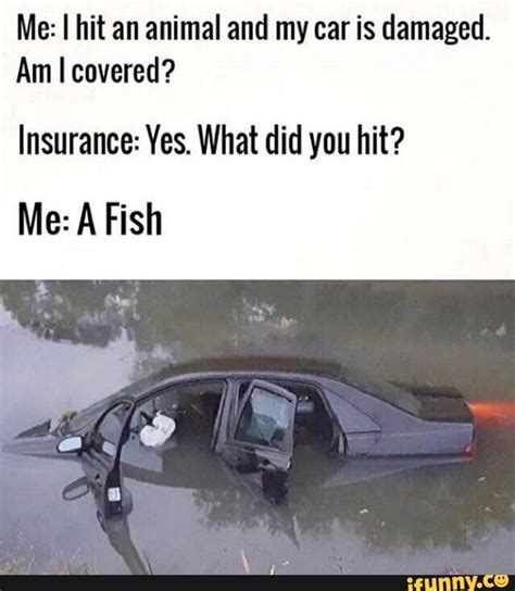 50+ Car Insurance Memes To Check Out [must Read] - Car Talk - Nigeria