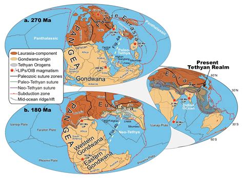 What drives plate tectonics?