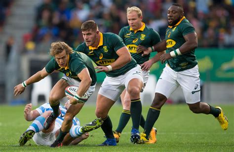 In-form Springboks climb rankings | Rugby World Cup