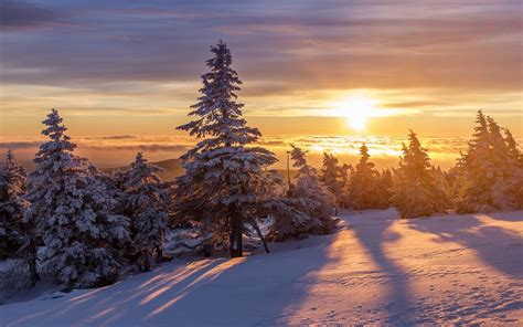 Snowy Forest At Sunrise Wallpapers - Wallpaper Cave