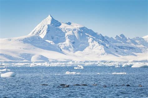 Vinson Massif, the highest mountain in Antarctica | Cool places to ...