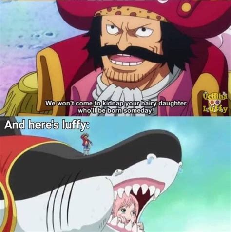 Pin En One Piece Memes Perros Y Gatos Graciosos Humor De La Vida