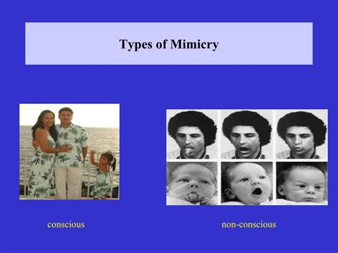 PPT - Interpersonal Mimicry: The Chameleon Effect PowerPoint ...