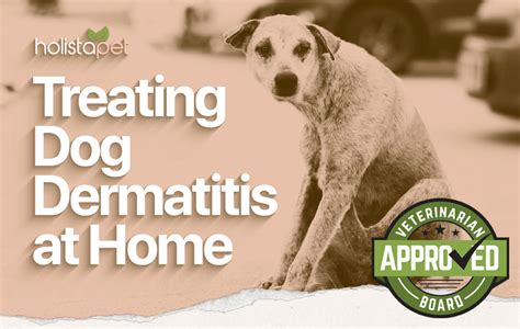 How to Treat Flea Allergy Dermatitis in Dogs at Home: Effective Home ...