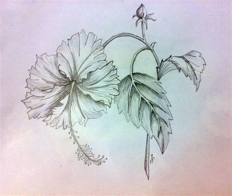 Flower Shading Drawing at GetDrawings | Free download