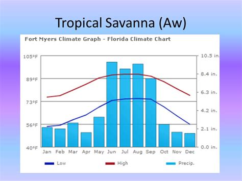 African Savanna Climate Chart - Minga