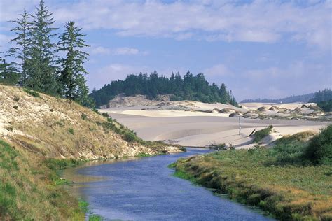 Oregon Dunes National Recreation Area | Natural Atlas