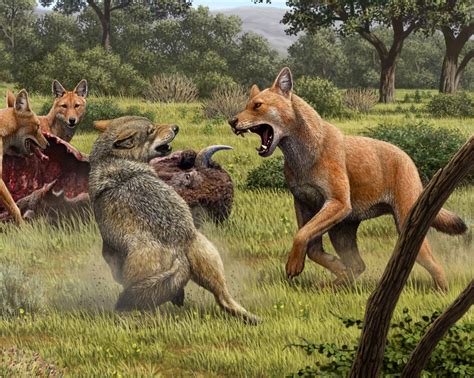 Ancient DNA Reveals Secrets of the “Terrifying” Dire Wolf – Famous From ...