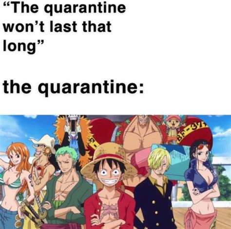 One Piece Memes Pt 1 Fandom