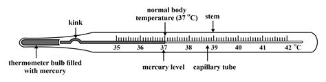 Complete Guide On Essential Thermometer Parts: Names, 55% OFF