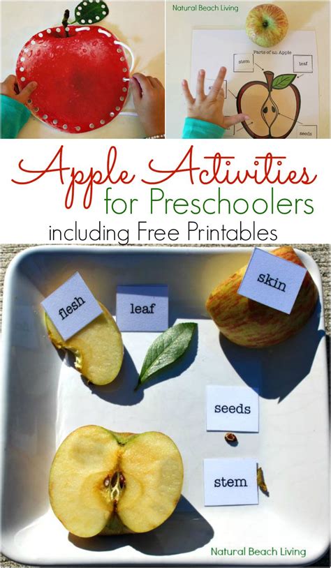 Apple Activities for Preschoolers - Apple Science Free Printables ...