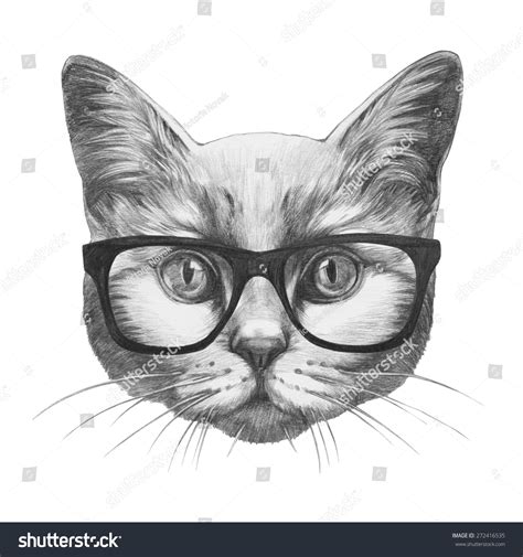 Original Drawing Cat Glasses Isolated On Stock Illustration 272416535 ...