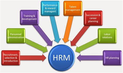 How HR System Enhances Organizational Efficiency - Online HRMS Software