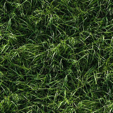 HIGH RESOLUTION TEXTURES: Seamless long green grass ground texture