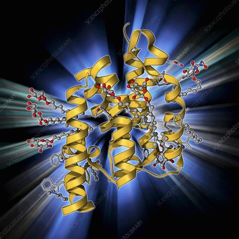 Rhomboid protease molecule - Stock Image - F009/6343 - Science Photo ...