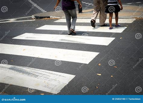 Zebra Pedestrian Crossing Stock Photography | CartoonDealer.com #58088018