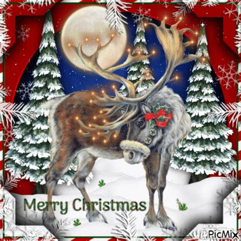 Christmas Reindeer - Free animated GIF - PicMix