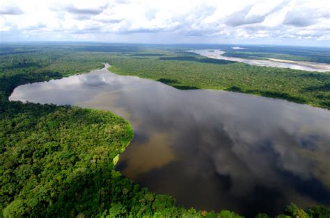 File:Amazonia ecuador.jpg - Wikimedia Commons