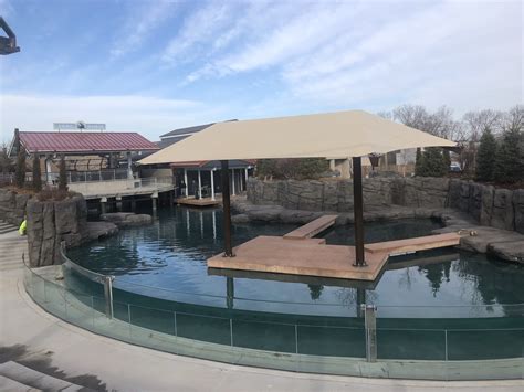 Como Park Zoo Seal and Sea Lion Habitat Nearing Completion - Satchell ...