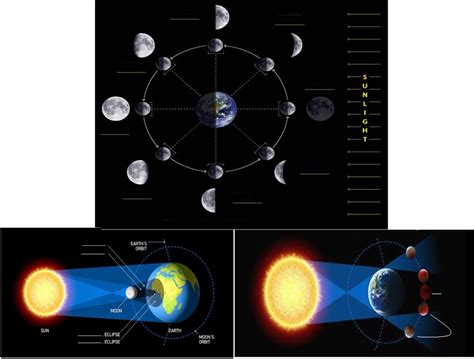 Moon Phases and Eclipses Diagram | Quizlet