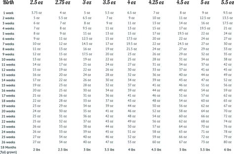 Chihuahua Weight Chart - Sweetie Pie Pets