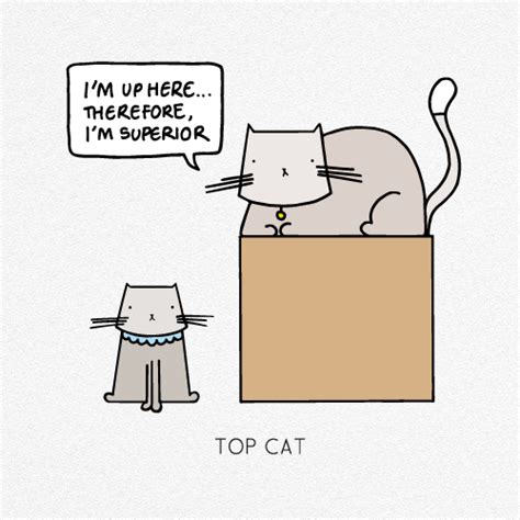 TOP CAT – WITTY KITTY