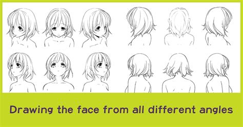 Drawing the face from all different angles - Anime Art Magazine