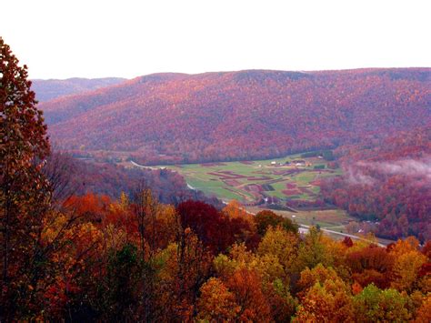 Tennessee's Fall Foliage Is Expected To Be Bright And Bold This Year