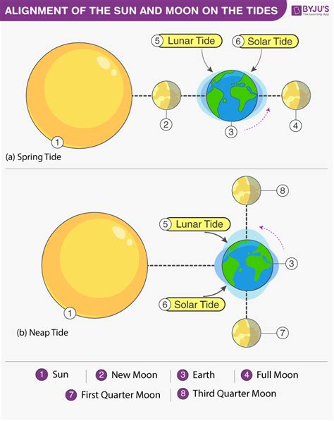 Tidal Energy- Advantages & Disadvantages | Tides | Renewable Resources