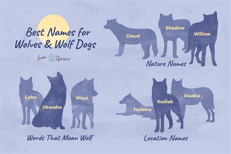 Pet Wolf and Wolfdog Names