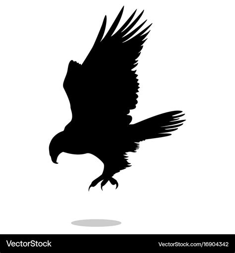 Hawk eagle falcon bird black silhouette animal Vector Image