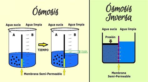 ¿qué Es La Ósmosis Inversa