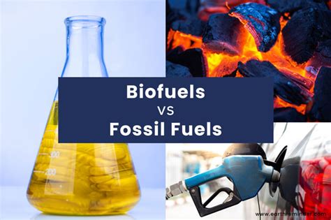 Difference Between Biofuels and Fossil Fuels | Earth Reminder