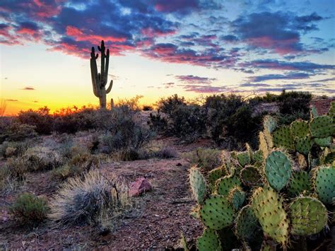 Hiking the Arizona Trail: Answers to Essential Questions - Exploring Wild