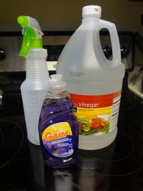 Diy Shower Cleaner No Vinegar - Best Idea DIY