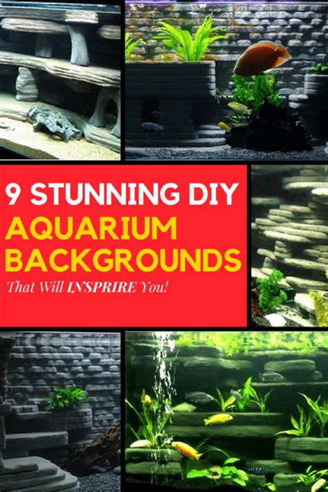 9 DIY Aquarium Backgrounds You Can Start Today - Learn How