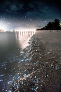 Glowing Maldives - Bioluminescence Beaches in The Maldives